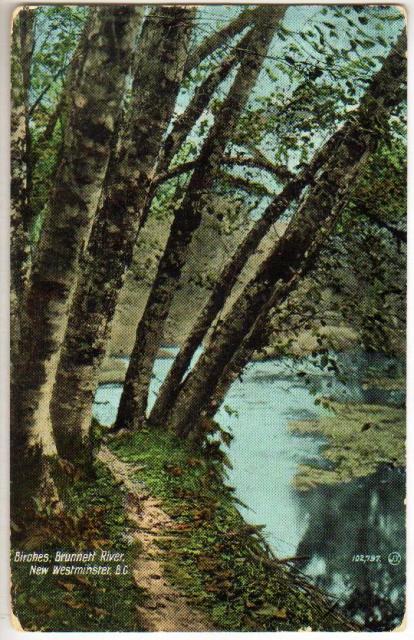 postcard_brunette_creek_1911